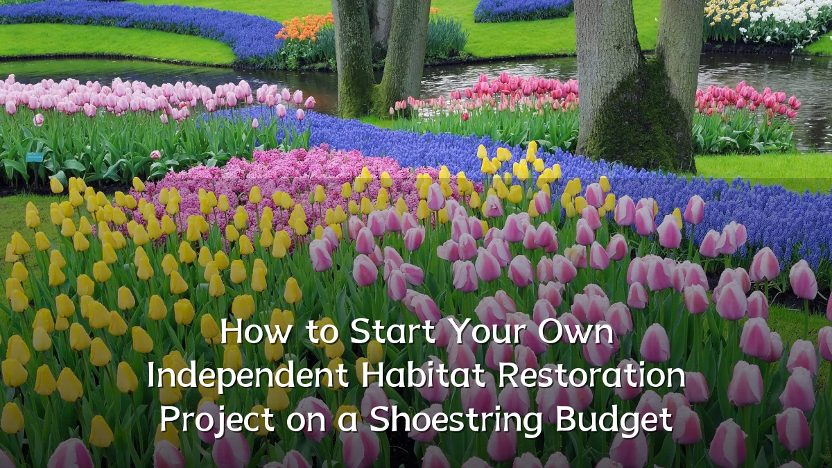 How to Start Your Own Independent Habitat Restoration Project on a Shoestring Budget