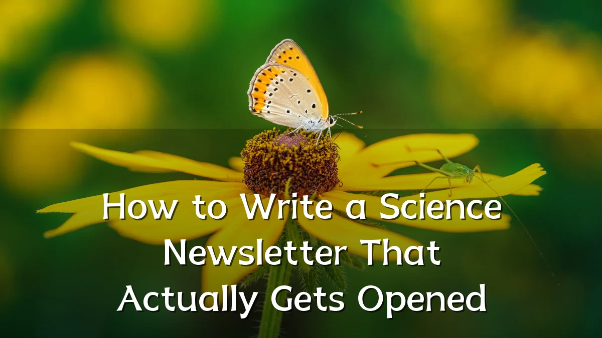 How to Write a Science Newsletter That Actually Gets Opened