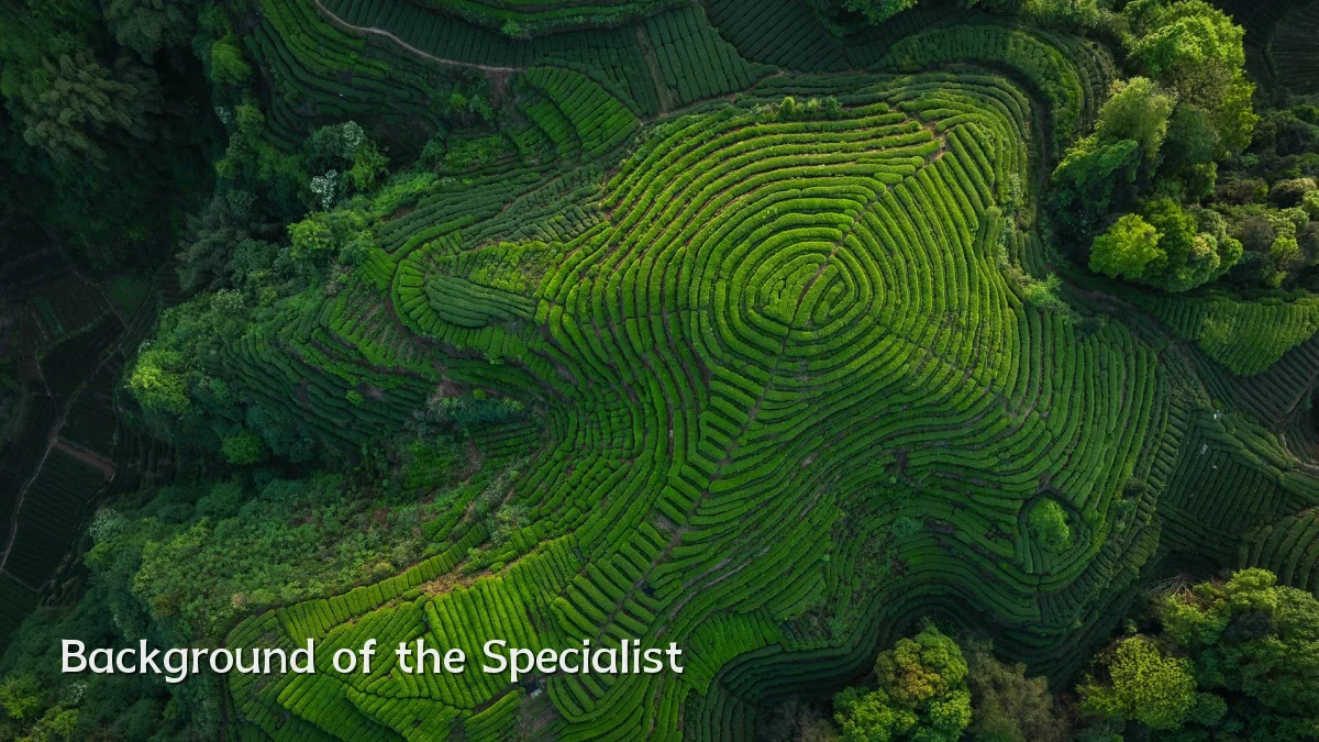 Background of the Specialist