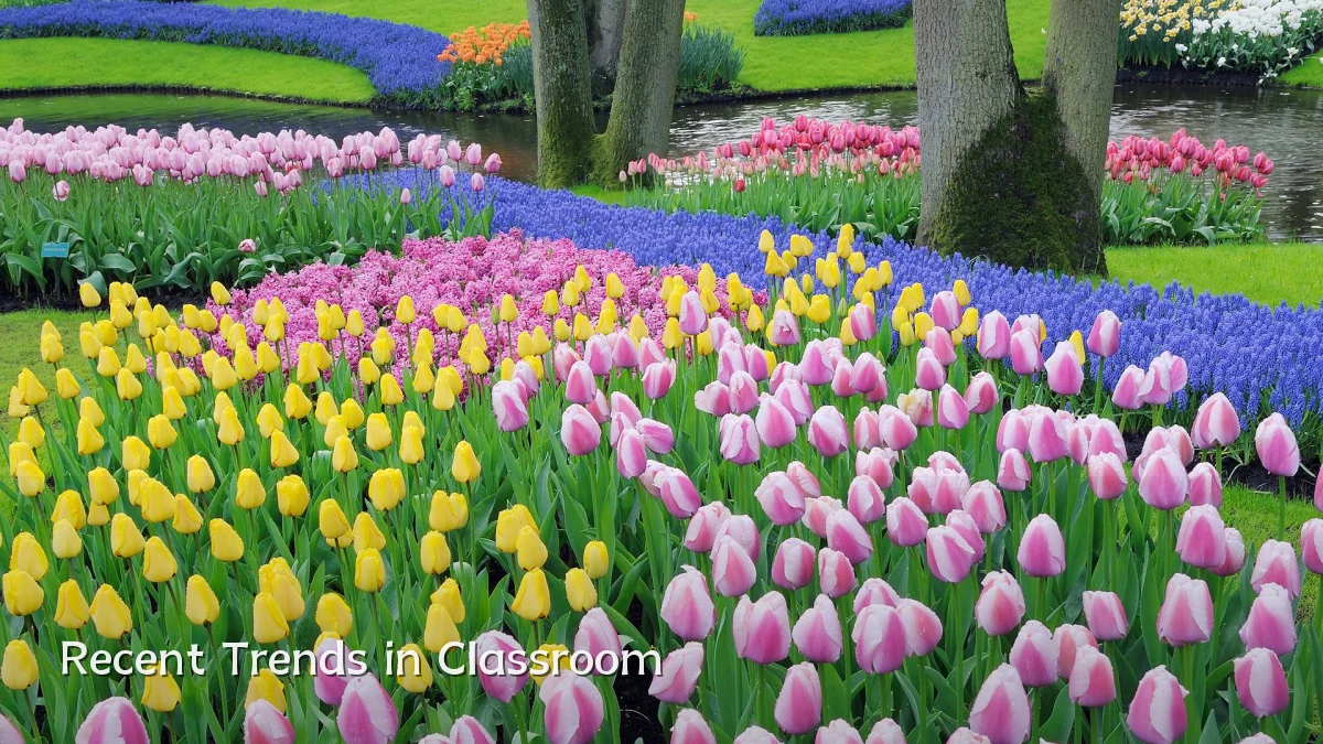 Recent Trends in Classroom