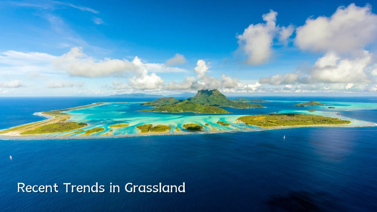 Recent Trends in Grassland