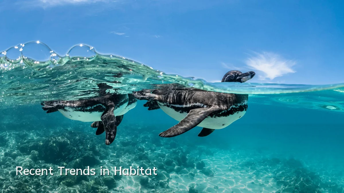 Recent Trends in Habitat