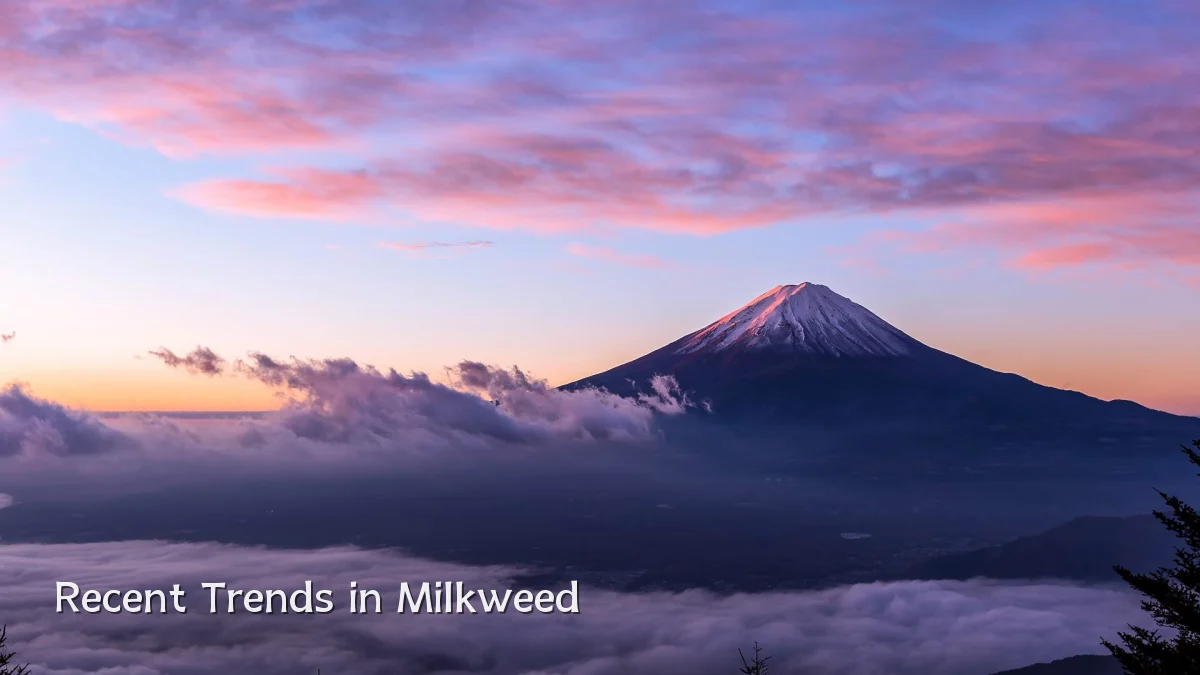 Recent Trends in Milkweed
