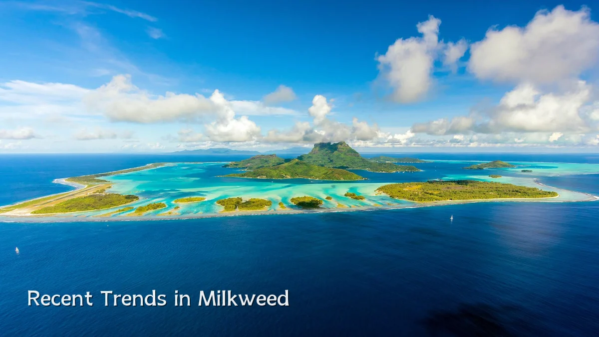 Recent Trends in Milkweed