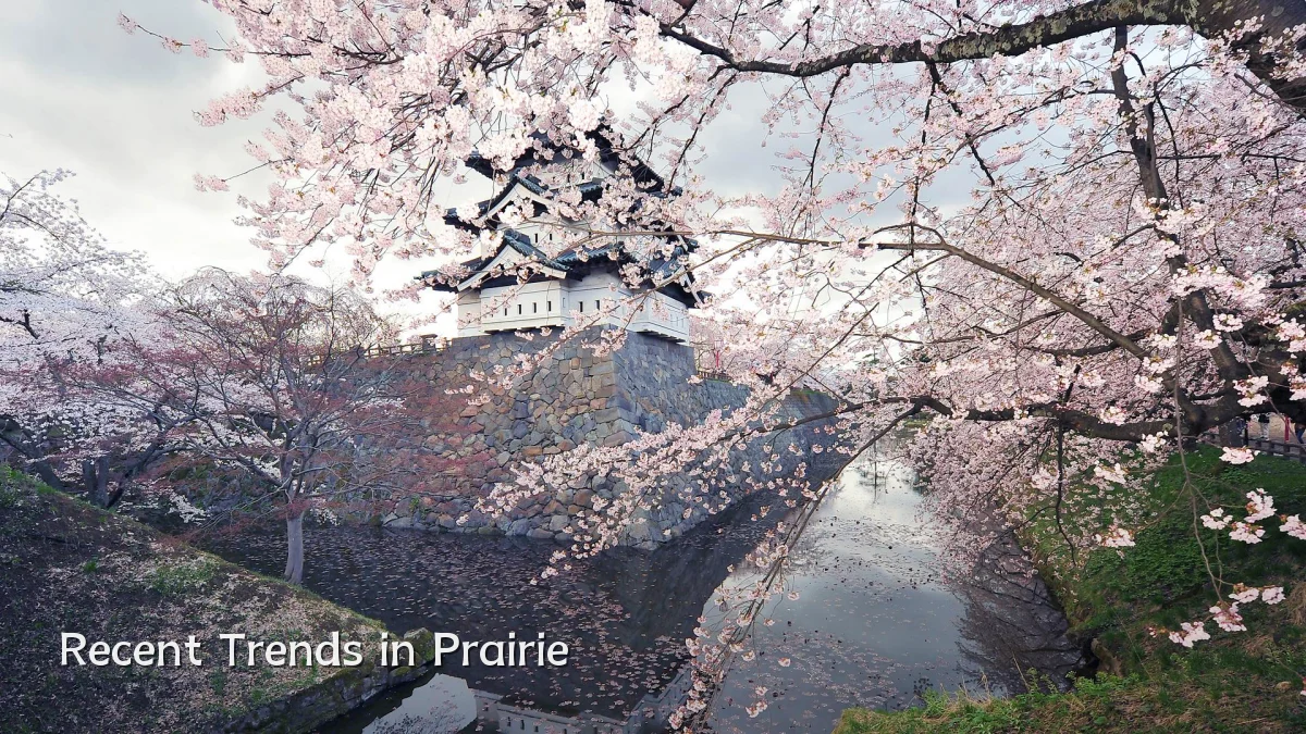 Recent Trends in Prairie
