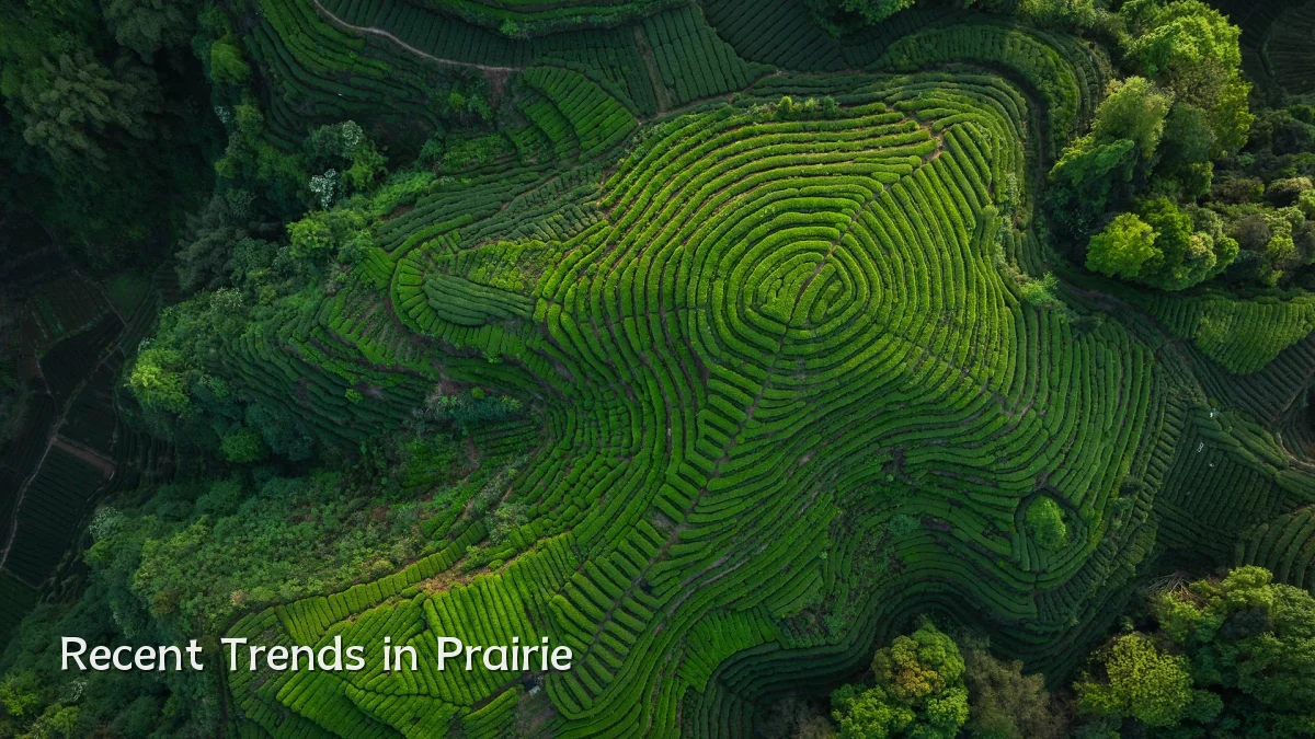 Recent Trends in Prairie