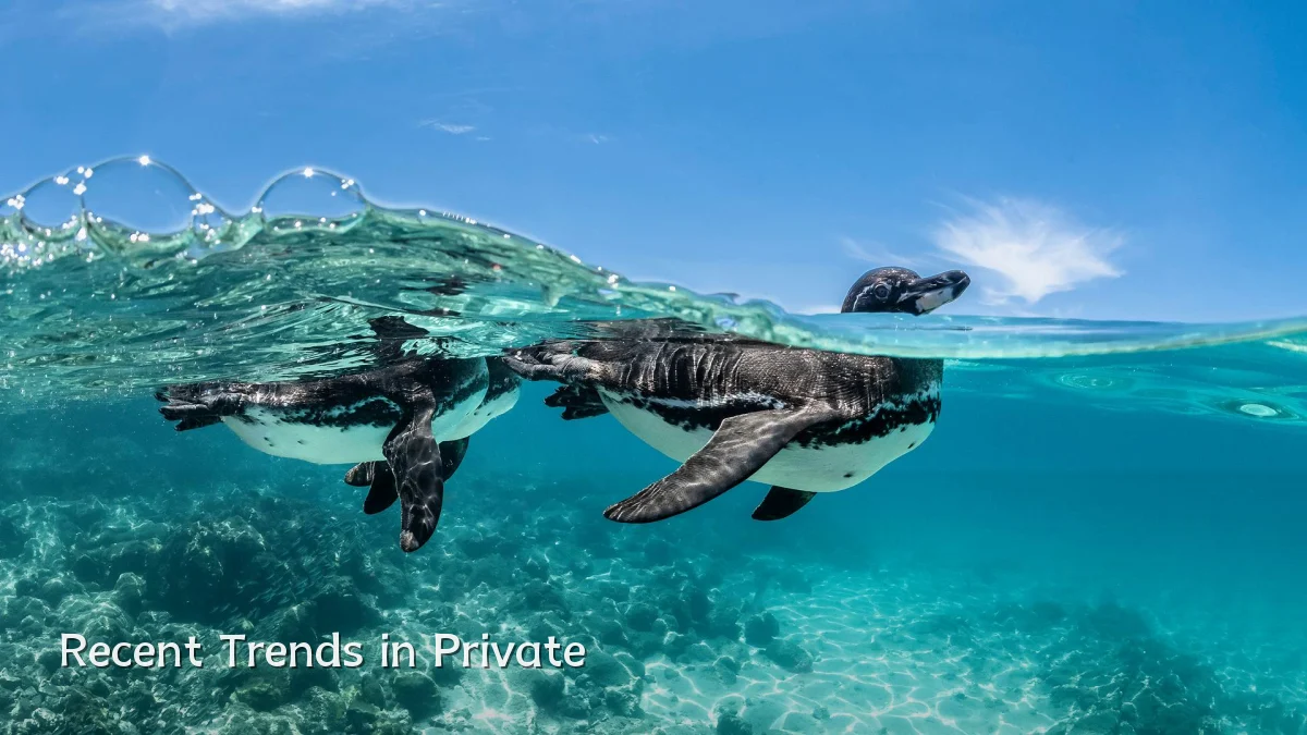 Recent Trends in Private