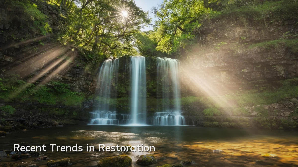 Recent Trends in Restoration