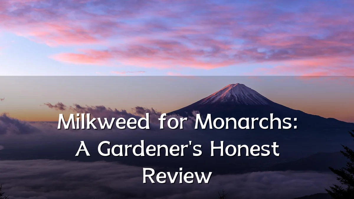 Milkweed for Monarchs: A Gardener's Honest Review
