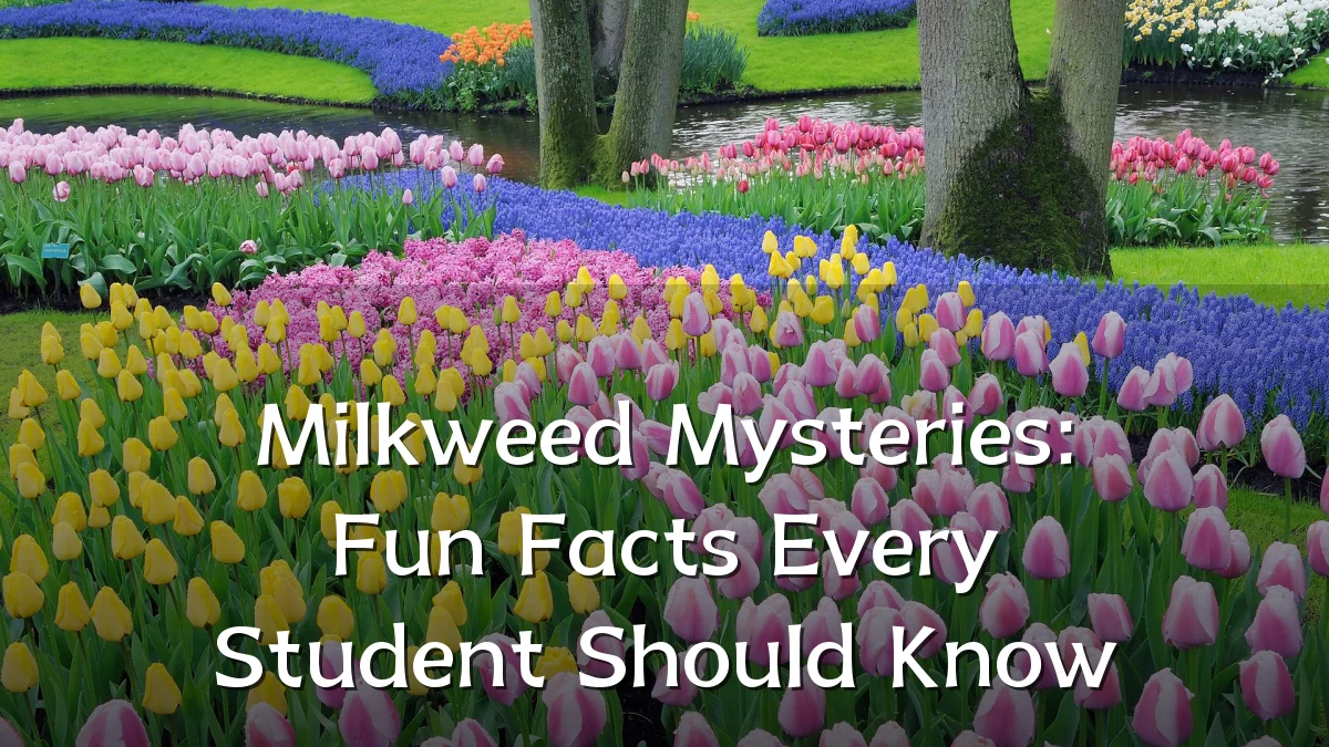 Milkweed Mysteries: Fun Facts Every Student Should Know