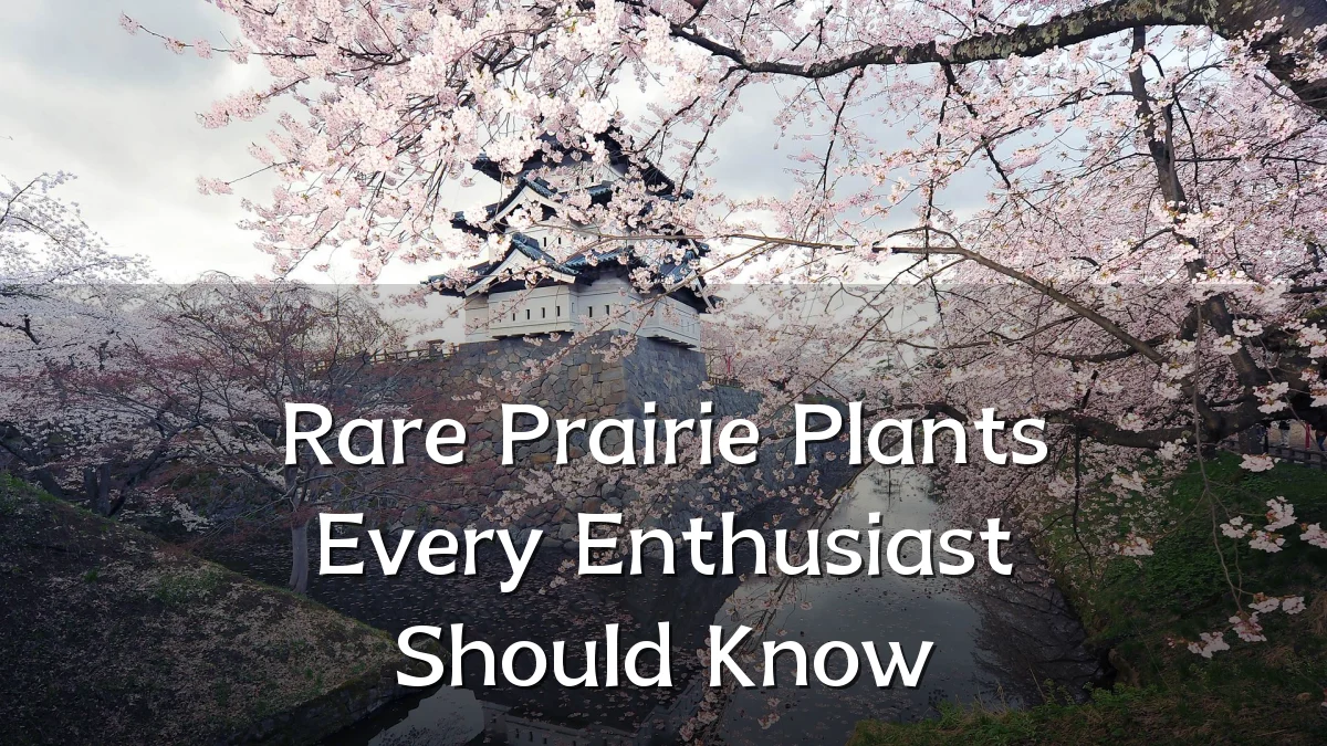Rare Prairie Plants Every Enthusiast Should Know