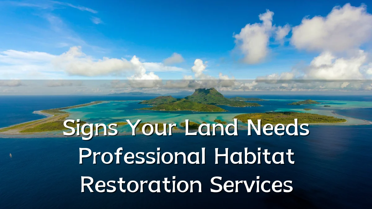 Signs Your Land Needs Professional Habitat Restoration Services