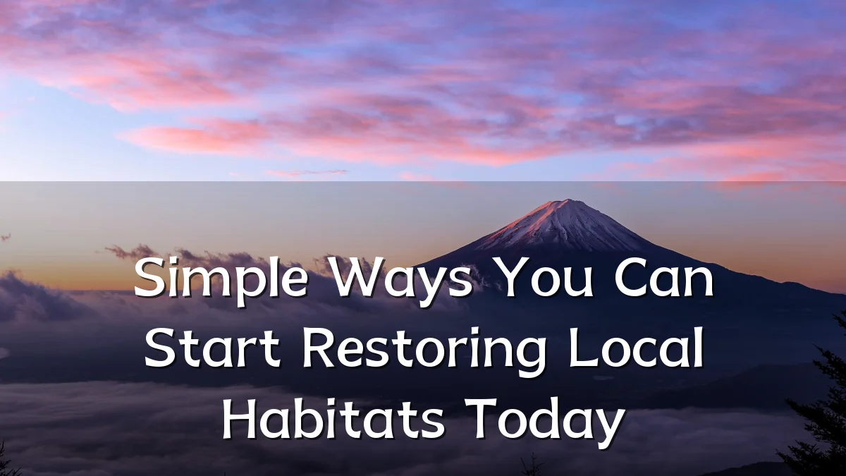 Simple Ways You Can Start Restoring Local Habitats Today