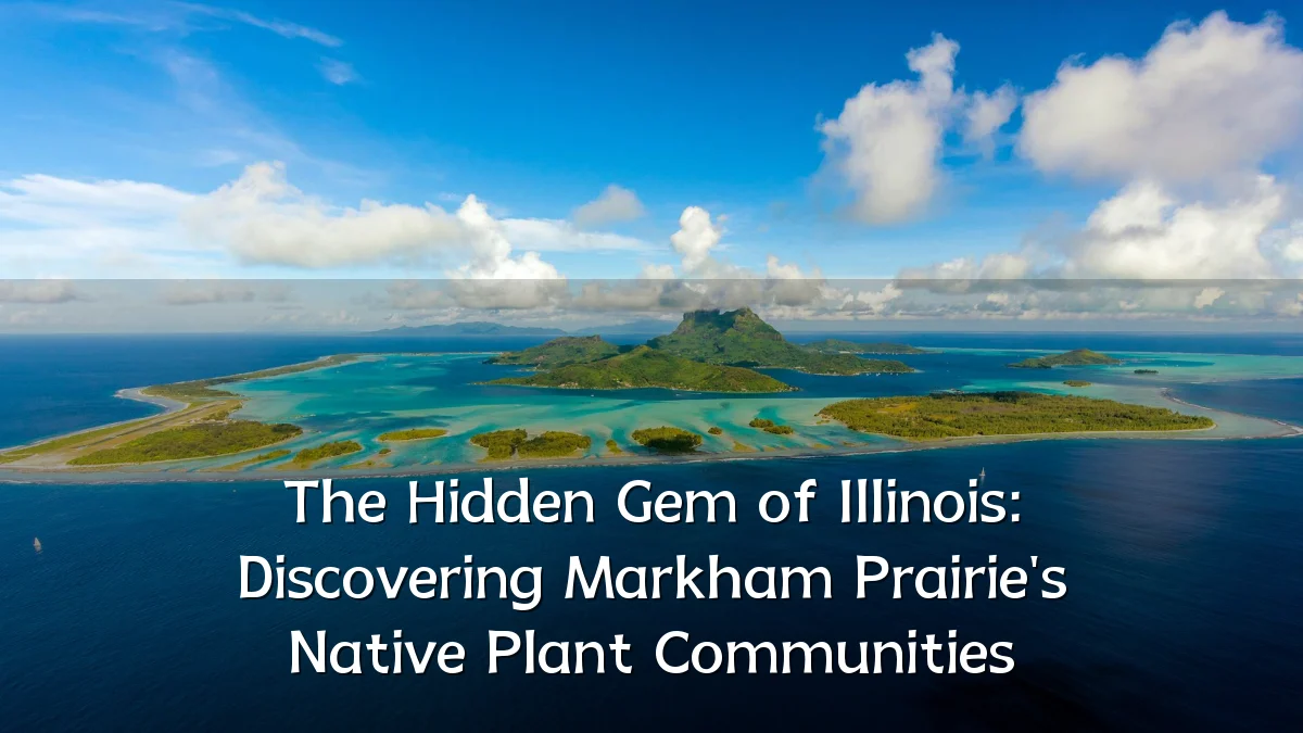 The Hidden Gem of Illinois: Discovering Markham Prairie's Native Plant Communities
