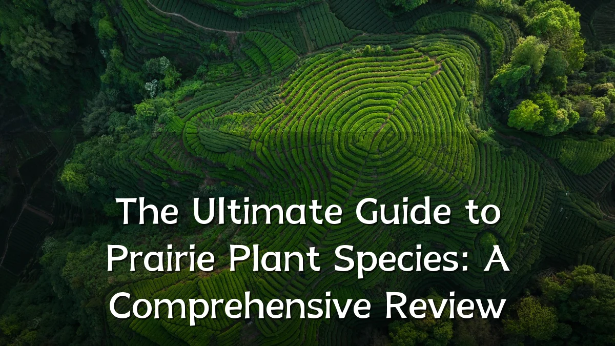 The Ultimate Guide to Prairie Plant Species: A Comprehensive Review