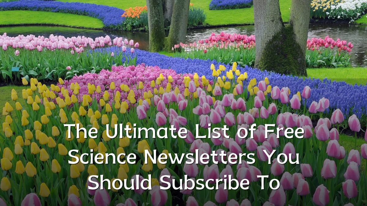The Ultimate List of Free Science Newsletters You Should Subscribe To