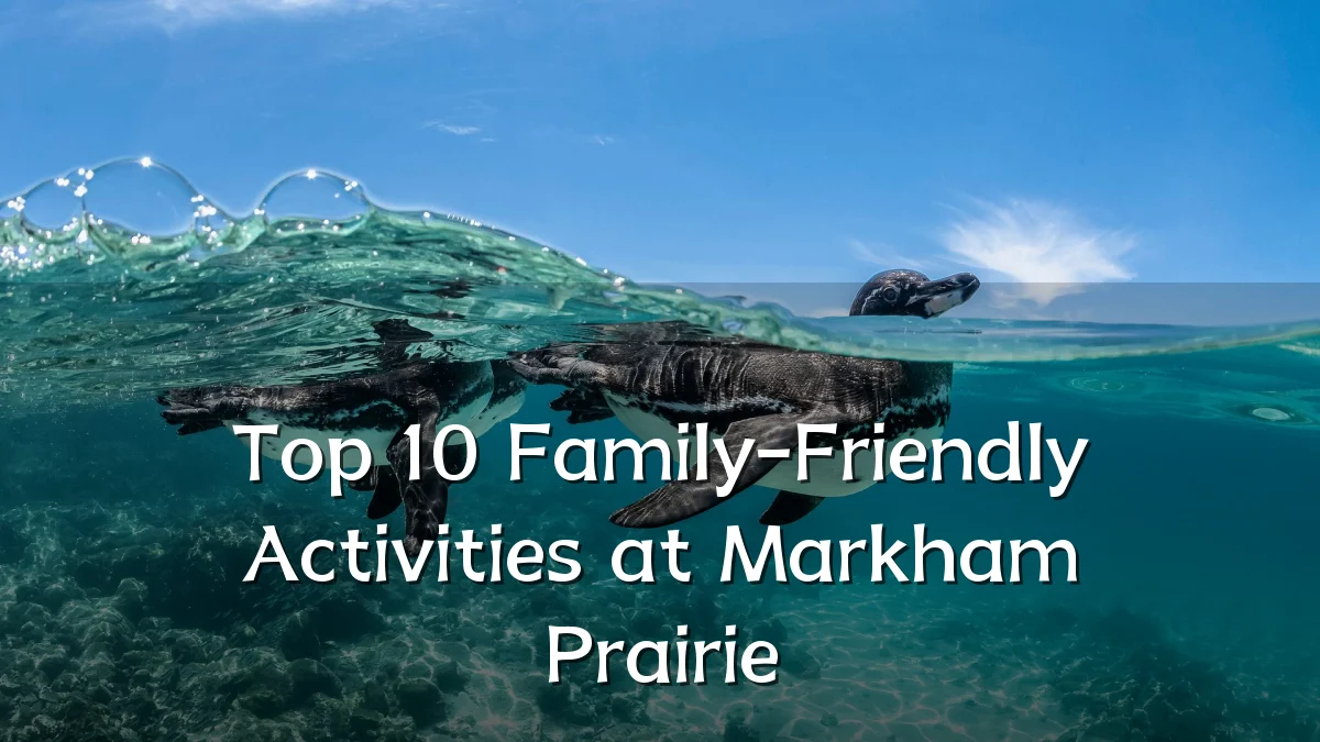 Top 10 Family-Friendly Activities at Markham Prairie