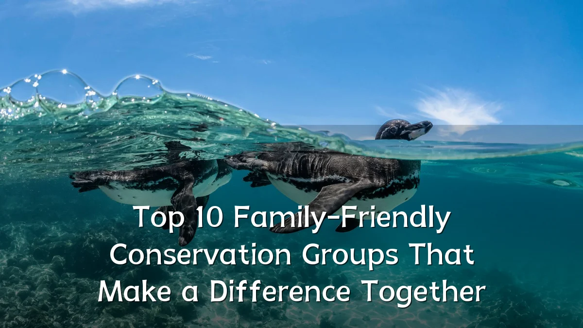 Top 10 Family-Friendly Conservation Groups That Make a Difference Together