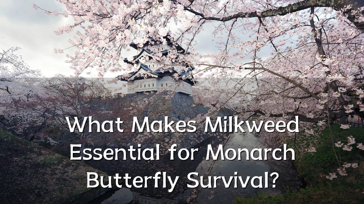 What Makes Milkweed Essential for Monarch Butterfly Survival?