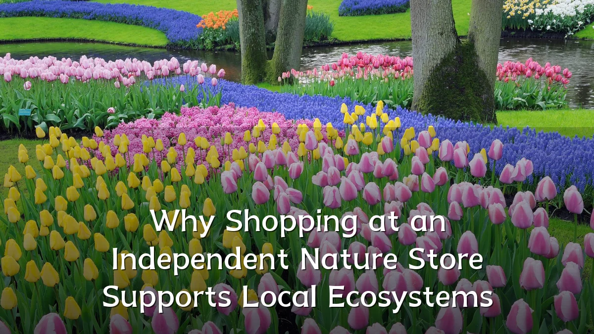 Why Shopping at an Independent Nature Store Supports Local Ecosystems