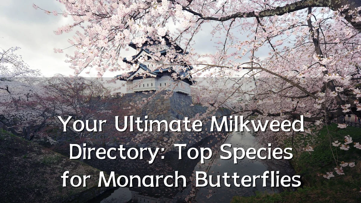 Your Ultimate Milkweed Directory: Top Species for Monarch Butterflies