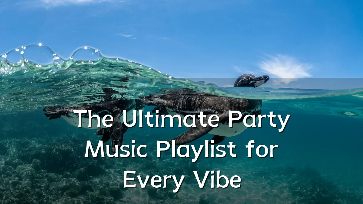 The Ultimate Party Music Playlist for Every Vibe