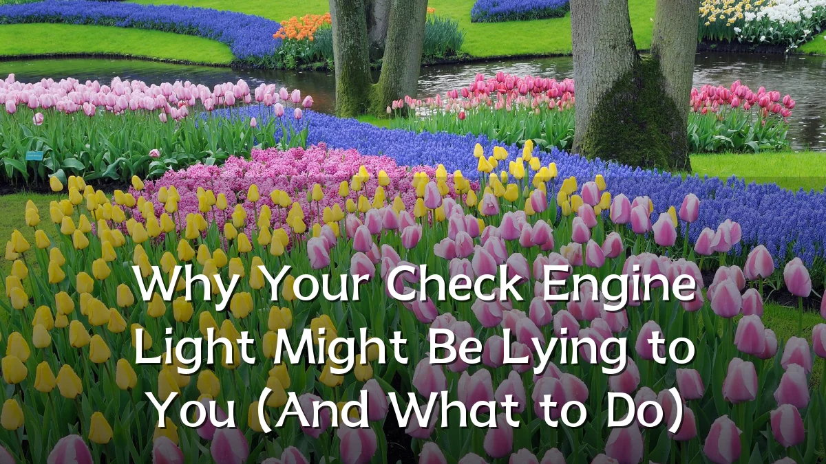 Why Your Check Engine Light Might Be Lying to You (And What to Do)