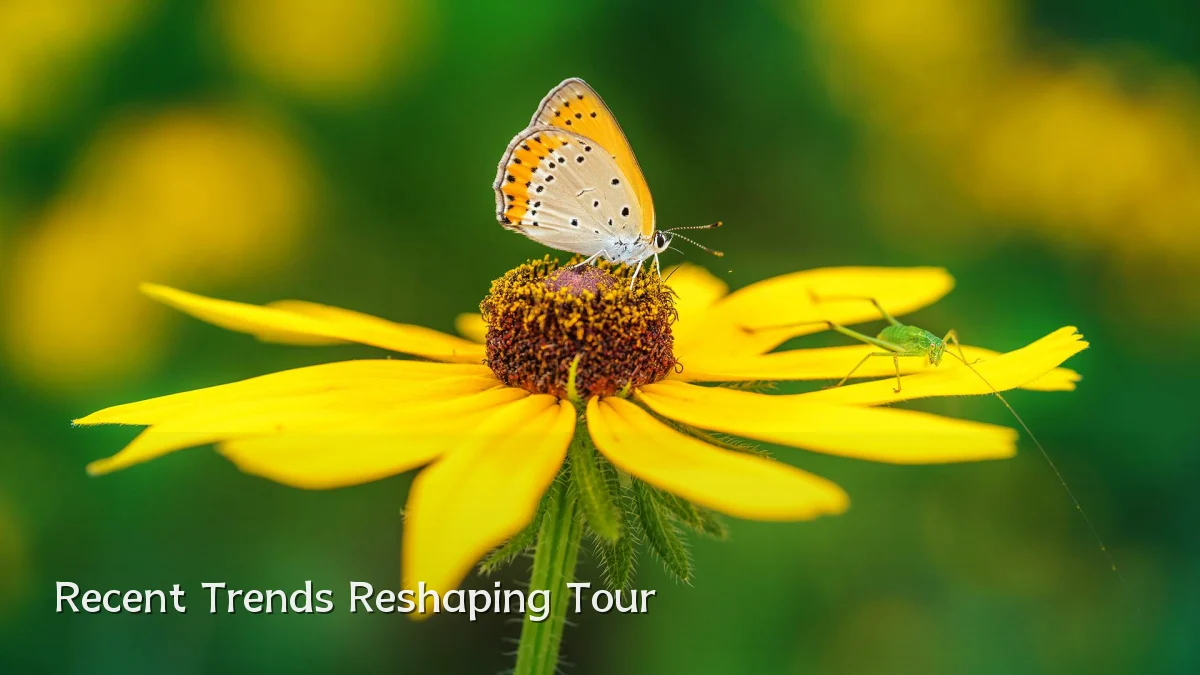 Recent Trends Reshaping Tour