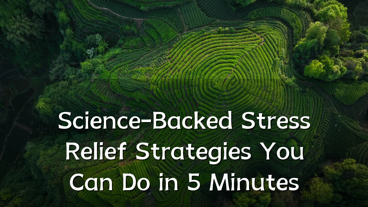Science-Backed Stress Relief Strategies You Can Do in 5 Minutes