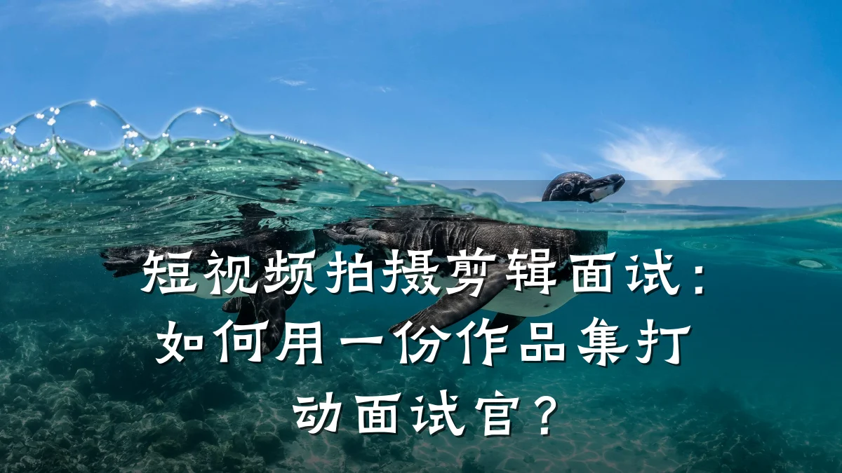 短视频拍摄剪辑面试:如何用一份作品集打动面试官?